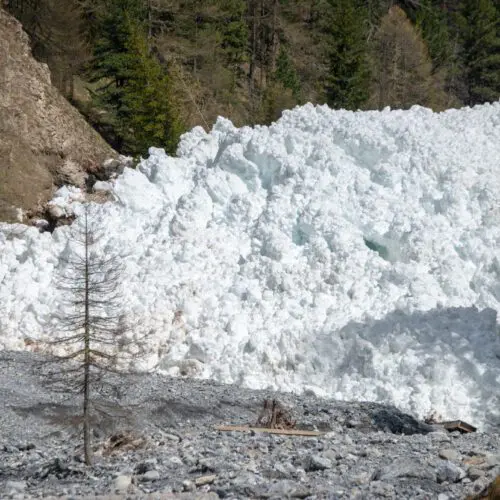 Wet snow avalanche in Val Trupchun