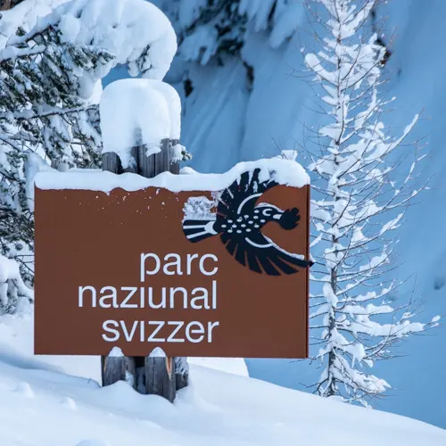Nein, so sieht es noch nicht aus im #schweizernationalpark. Aber…