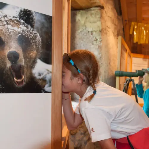 Blick durch's Fernrohr in der Bärenausstellung Schmelzra