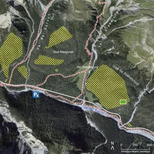 Karte für das Besucherzentrum: Ausbreitung des Hallimasch-Pilzes im Gebiet der Alp Stabelchod. Der Hallimasch ist etwa 50-mal grösser als ein Fussballfeld.