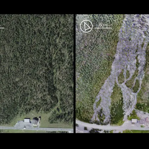 Das Murgangereignis vom 25.07.2022 hat Spuren in der Landschaft hinterlassen. Ein Luftbild der swisstopo von 2019 wird mit einer Drohnenaufnahme vom 05.08.2022 verglichen: Über eine grosse Fläche ist der Murgang sichtbar.