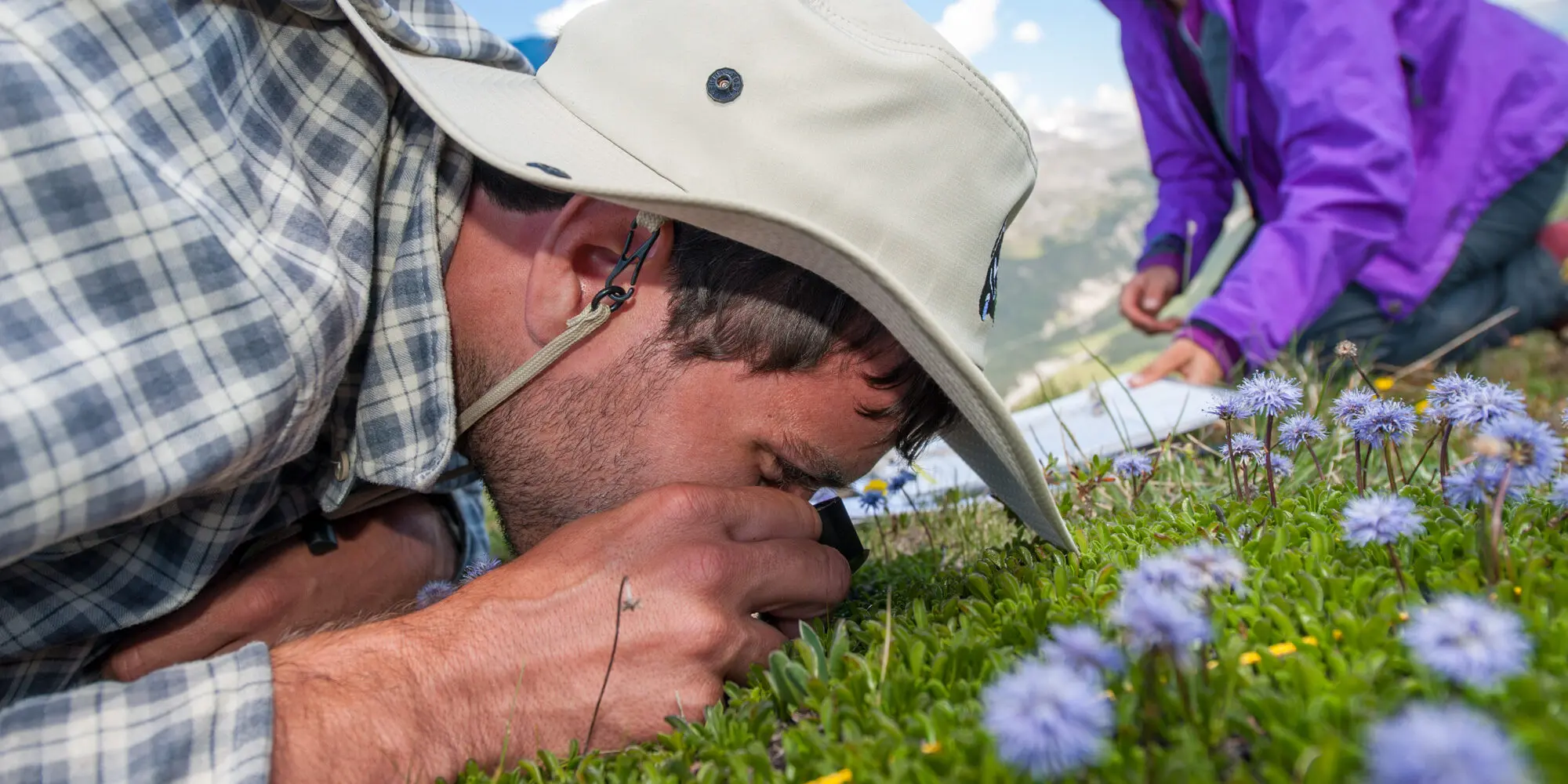 Kniender Botaniker untersucht mit der Lupe die Pflanzen am Boden
