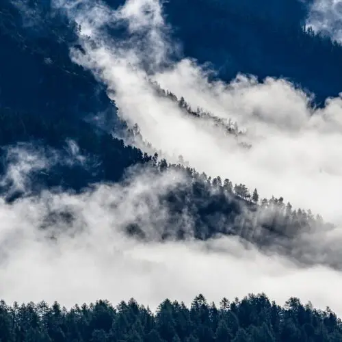 Nebelschwaden in bewaldetem Berghang