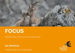 Titelbild zum Focus-Faltblatt Steinbock