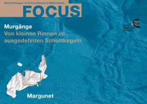 Titelbild zum Focus-Faltblatt Vegetationsentwicklung