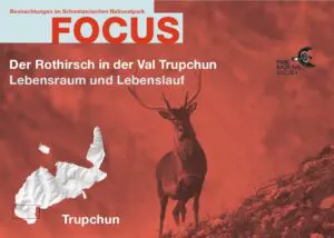 Titelbild zum Focus-Faltblatt Rothirsch