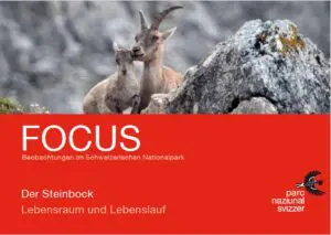 Titelbild zum Focus-Faltblatt Steinböcke