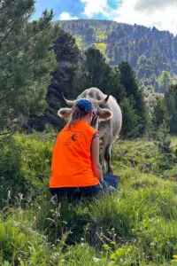 Forscherin beim Auslesen eines Leitfähigkeitsloggers mit Kuh als Zuschauerin