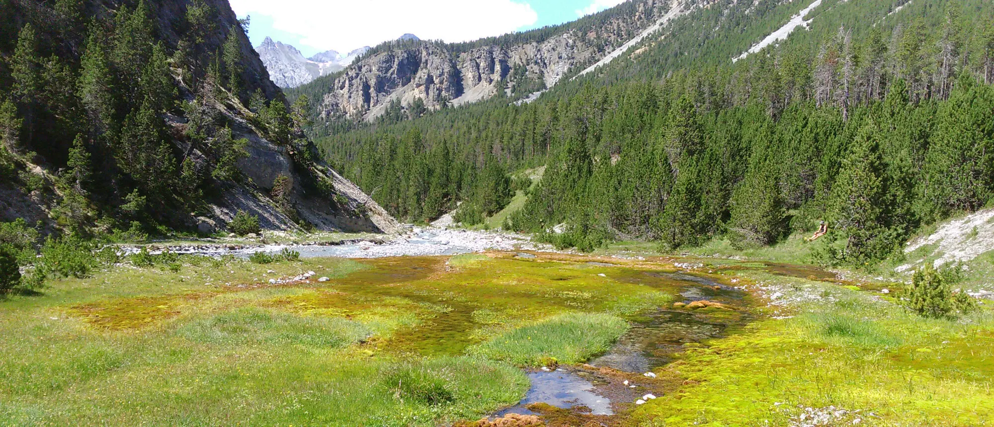 Blick auf Quelle bei Buffalora