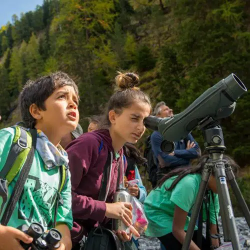 Haben Sie die verschiedenen Exkursionsangebote im #schweizernationalpark schon entdeckt? Wir…