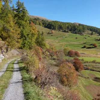 Wirkt sich eine besonders vielfältige Landschaft positiv auf die Gesundheit…