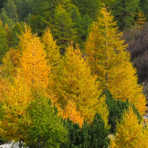 Eintauchen ins Herbstlicht – dazu landen wir Sie ein. Wie…