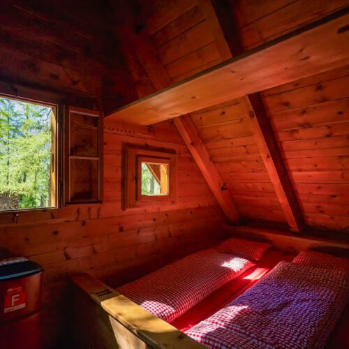 Blick aus einem Zimmer der Cluozza-Hütte in den Lärchenwald