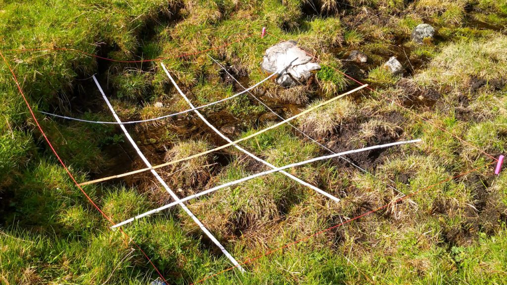 Ausgelegtes Gitter über Viehtritt